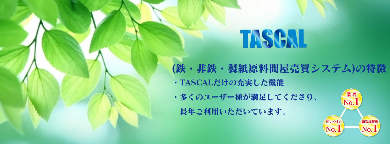 システム特徴